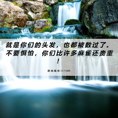 Picture 06 - 路 加 福 音 12:7 CUVS - 就 是 你 们 的 头 发 ， 也 都 被 数 - Bible Verse Picture