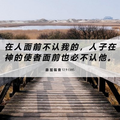Picture 06 - 路 加 福 音 12:9 CUVS - 在 人 面 前 不 认 我 的 ， 人 子 在 - Bible Verse Picture