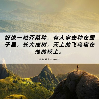 Picture 06 - 路 加 福 音 13:19 CUVS - 好 像 一 粒 芥 菜 种 ， 有 人 拿 去 - Bible Verse Picture