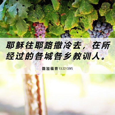 Picture 06 - 路 加 福 音 13:22 CUVS - 耶 稣 往 耶 路 撒 冷 去 ， 在 所 经 - Bible Verse Picture