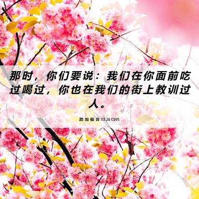Picture 06 - 路 加 福 音 13:26 CUVS - 那 时 ， 你 们 要 说 ： 我 们 在 你 - Bible Verse Picture