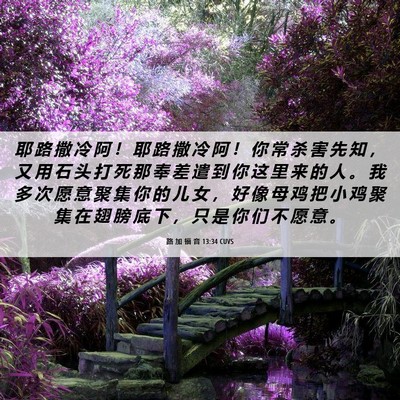 Picture 06 - 路 加 福 音 13:34 CUVS - 耶 路 撒 冷 阿 ！ 耶 路 撒 冷 阿 ！ - Bible Verse Picture