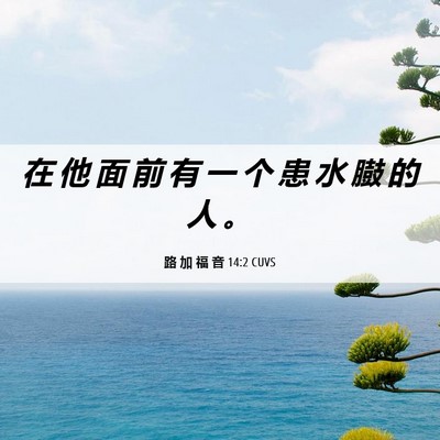 Picture 06 - 路 加 福 音 14:2 CUVS - 在 他 面 前 有 一 个 患 水 臌 的 人 - Bible Verse Picture