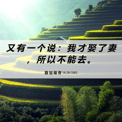 Picture 06 - 路 加 福 音 14:20 CUVS - 又 有 一 个 说 ： 我 才 娶 了 妻 ， - Bible Verse Picture