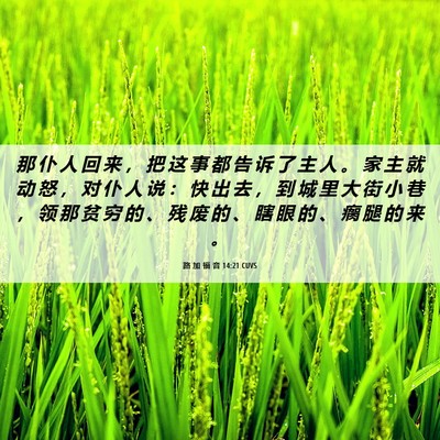 Picture 06 - 路 加 福 音 14:21 CUVS - 那 仆 人 回 来 ， 把 这 事 都 告 诉 - Bible Verse Picture