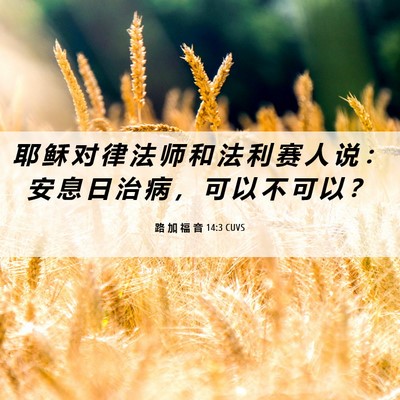 Picture 06 - 路 加 福 音 14:3 CUVS - 耶 稣 对 律 法 师 和 法 利 赛 人 说 - Bible Verse Picture