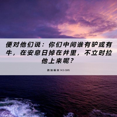 Picture 06 - 路 加 福 音 14:5 CUVS - 便 对 他 们 说 ： 你 们 中 间 谁 有 - Bible Verse Picture
