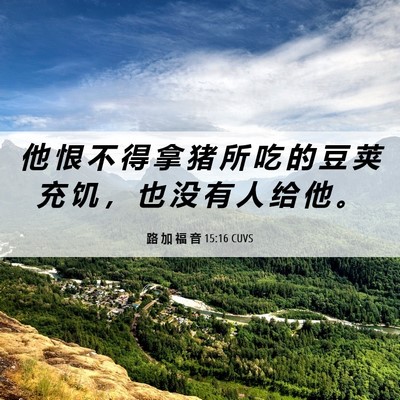 Picture 06 - 路 加 福 音 15:16 CUVS - 他 恨 不 得 拿 猪 所 吃 的 豆 荚 充 - Bible Verse Picture