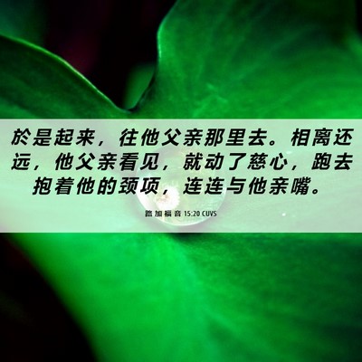 Picture 06 - 路 加 福 音 15:20 CUVS - 於 是 起 来 ， 往 他 父 亲 那 里 去 - Bible Verse Picture