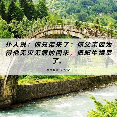 Picture 06 - 路 加 福 音 15:27 CUVS - 仆 人 说 ： 你 兄 弟 来 了 ； 你 父 - Bible Verse Picture
