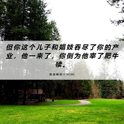 Picture 06 - 路 加 福 音 15:30 CUVS - 但 你 这 个 儿 子 和 娼 妓 吞 尽 了 - Bible Verse Picture