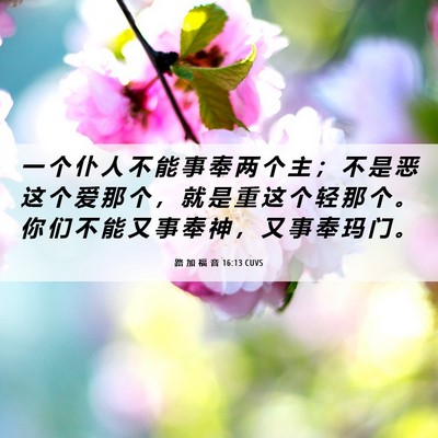 Picture 06 - 路 加 福 音 16:13 CUVS - 一 个 仆 人 不 能 事 奉 两 个 主 ； - Bible Verse Picture