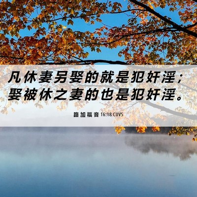 Picture 06 - 路 加 福 音 16:18 CUVS - 凡 休 妻 另 娶 的 就 是 犯 奸 淫 ； - Bible Verse Picture