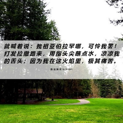 Picture 06 - 路 加 福 音 16:24 CUVS - 就 喊 着 说 ： 我 祖 亚 伯 拉 罕 哪 - Bible Verse Picture
