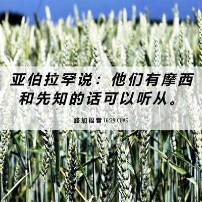 Picture 06 - 路 加 福 音 16:29 CUVS - 亚 伯 拉 罕 说 ： 他 们 有 摩 西 和 - Bible Verse Picture