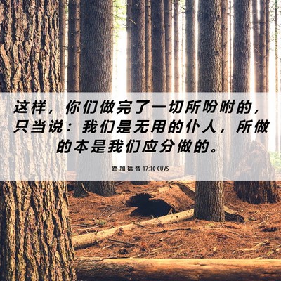 Picture 06 - 路 加 福 音 17:10 CUVS - 这 样 ， 你 们 做 完 了 一 切 所 吩 - Bible Verse Picture