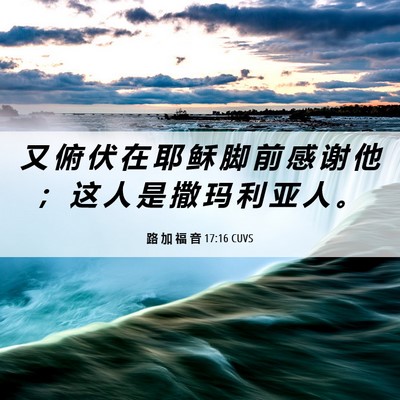 Picture 06 - 路 加 福 音 17:16 CUVS - 又 俯 伏 在 耶 稣 脚 前 感 谢 他 ； - Bible Verse Picture