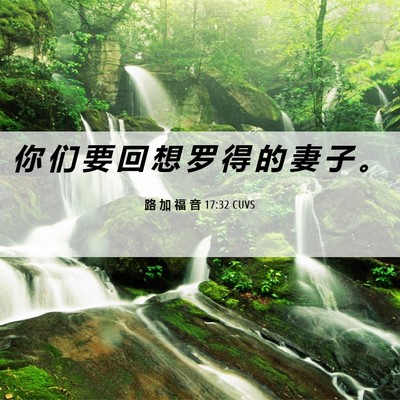 Picture 06 - 路 加 福 音 17:32 CUVS - 你 们 要 回 想 罗 得 的 妻 子 - Bible Verse Picture