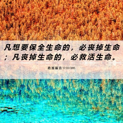 Picture 06 - 路 加 福 音 17:33 CUVS - 凡 想 要 保 全 生 命 的 ， 必 丧 掉 - Bible Verse Picture