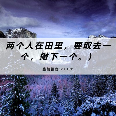Picture 06 - 路 加 福 音 17:36 CUVS - 两 个 人 在 田 里 ， 要 取 去 一 个 - Bible Verse Picture