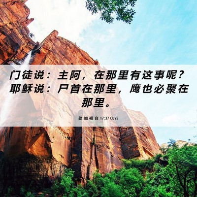 Picture 06 - 路 加 福 音 17:37 CUVS - 门 徒 说 ： 主 阿 ， 在 那 里 有 这 - Bible Verse Picture