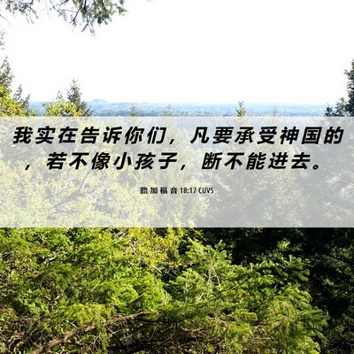 Picture 06 - 路 加 福 音 18:17 CUVS - 我 实 在 告 诉 你 们 ， 凡 要 承 受 - Bible Verse Picture