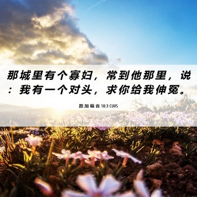 Picture 06 - 路 加 福 音 18:3 CUVS - 那 城 里 有 个 寡 妇 ， 常 到 他 那 - Bible Verse Picture