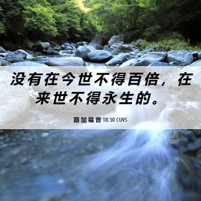 Picture 06 - 路 加 福 音 18:30 CUVS - 没 有 在 今 世 不 得 百 倍 ， 在 来 - Bible Verse Picture