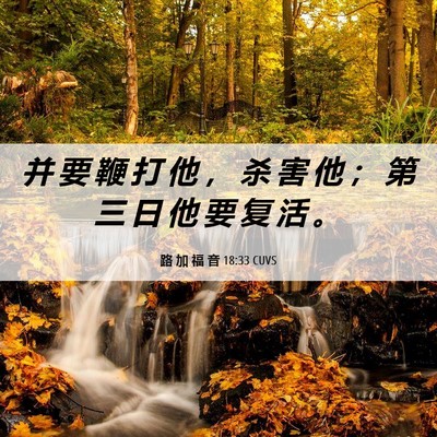 Picture 06 - 路 加 福 音 18:33 CUVS - 并 要 鞭 打 他 ， 杀 害 他 ； 第 三 - Bible Verse Picture
