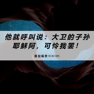 Picture 06 - 路 加 福 音 18:38 CUVS - 他 就 呼 叫 说 ： 大 卫 的 子 孙 耶 - Bible Verse Picture