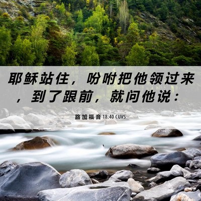 Picture 06 - 路 加 福 音 18:40 CUVS - 耶 稣 站 住 ， 吩 咐 把 他 领 过 来 - Bible Verse Picture