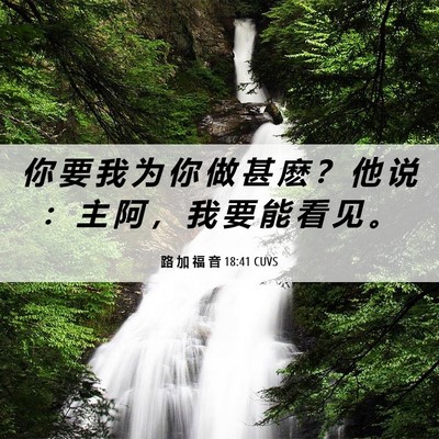 Picture 06 - 路 加 福 音 18:41 CUVS - 你 要 我 为 你 做 甚 麽 ？ 他 说 ： - Bible Verse Picture
