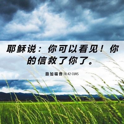 Picture 06 - 路 加 福 音 18:42 CUVS - 耶 稣 说 ： 你 可 以 看 见 ！ 你 的 - Bible Verse Picture