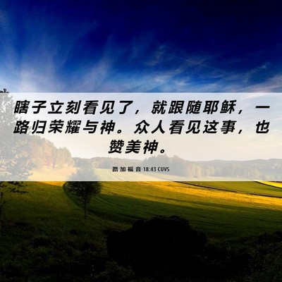 Picture 06 - 路 加 福 音 18:43 CUVS - 瞎 子 立 刻 看 见 了 ， 就 跟 随 耶 - Bible Verse Picture