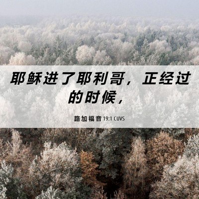 Picture 06 - 路 加 福 音 19:1 CUVS - 耶 稣 进 了 耶 利 哥 ， 正 经 过 的 - Bible Verse Picture