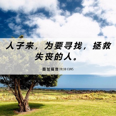Picture 06 - 路 加 福 音 19:10 CUVS - 人 子 来 ， 为 要 寻 找 ， 拯 救 失 - Bible Verse Picture