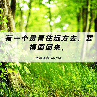 Picture 06 - 路 加 福 音 19:12 CUVS - 有 一 个 贵 胄 往 远 方 去 ， 要 得 - Bible Verse Picture