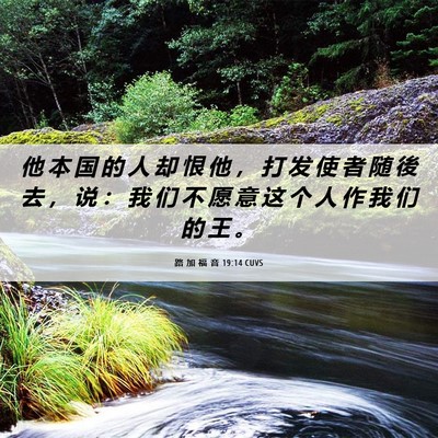 Picture 06 - 路 加 福 音 19:14 CUVS - 他 本 国 的 人 却 恨 他 ， 打 发 使 - Bible Verse Picture