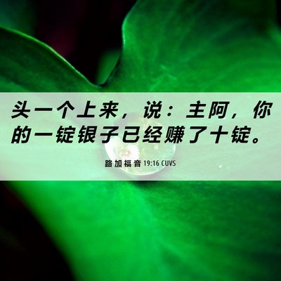 Picture 06 - 路 加 福 音 19:16 CUVS - 头 一 个 上 来 ， 说 ： 主 阿 ， 你 - Bible Verse Picture