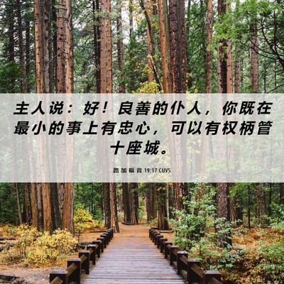 Picture 06 - 路 加 福 音 19:17 CUVS - 主 人 说 ： 好 ！ 良 善 的 仆 人 ， - Bible Verse Picture