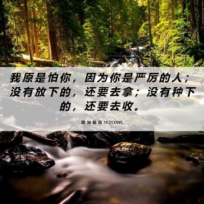 Picture 06 - 路 加 福 音 19:21 CUVS - 我 原 是 怕 你 ， 因 为 你 是 严 厉 - Bible Verse Picture