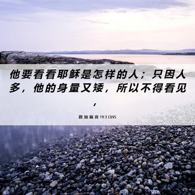 Picture 06 - 路 加 福 音 19:3 CUVS - 他 要 看 看 耶 稣 是 怎 样 的 人 ； - Bible Verse Picture