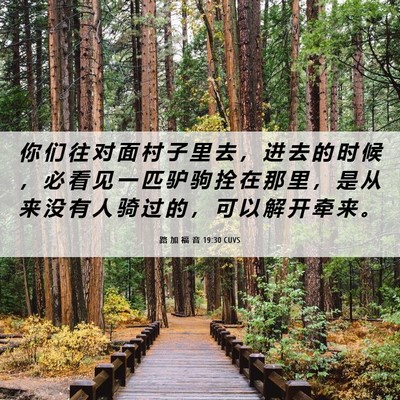 Picture 06 - 路 加 福 音 19:30 CUVS - 你 们 往 对 面 村 子 里 去 ， 进 去 - Bible Verse Picture