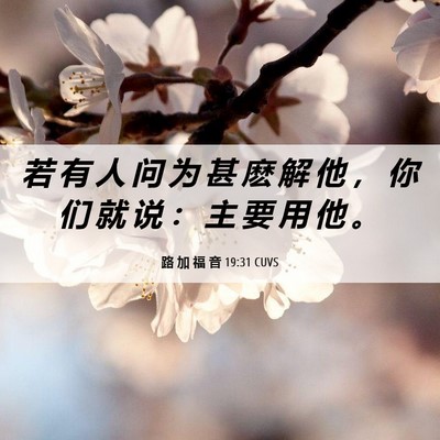Picture 06 - 路 加 福 音 19:31 CUVS - 若 有 人 问 为 甚 麽 解 他 ， 你 们 - Bible Verse Picture