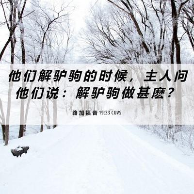 Picture 06 - 路 加 福 音 19:33 CUVS - 他 们 解 驴 驹 的 时 候 ， 主 人 问 - Bible Verse Picture