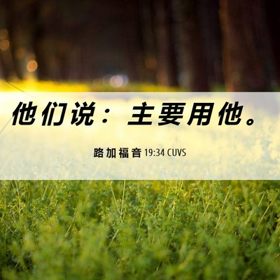 Picture 06 - 路 加 福 音 19:34 CUVS - 他 们 说 ： 主 要 用 他 - Bible Verse Picture