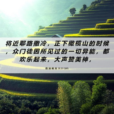 Picture 06 - 路 加 福 音 19:37 CUVS - 将 近 耶 路 撒 冷 ， 正 下 橄 榄 山 - Bible Verse Picture