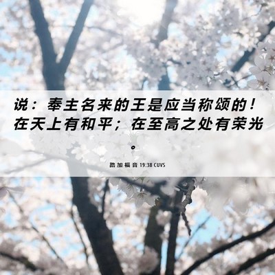 Picture 06 - 路 加 福 音 19:38 CUVS - 说 ： 奉 主 名 来 的 王 是 应 当 称 - Bible Verse Picture