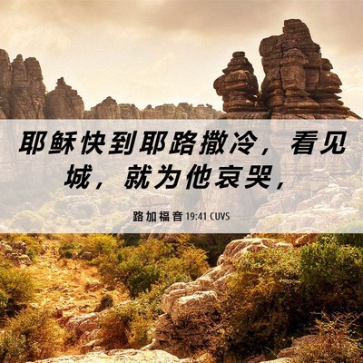 Picture 06 - 路 加 福 音 19:41 CUVS - 耶 稣 快 到 耶 路 撒 冷 ， 看 见 城 - Bible Verse Picture