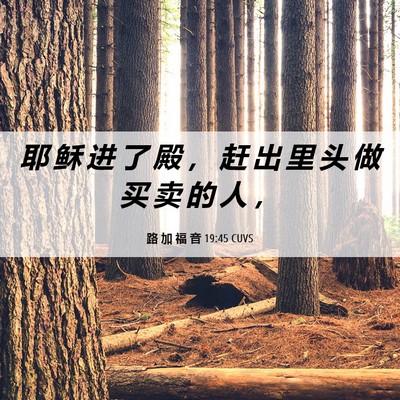 Picture 06 - 路 加 福 音 19:45 CUVS - 耶 稣 进 了 殿 ， 赶 出 里 头 做 买 - Bible Verse Picture
